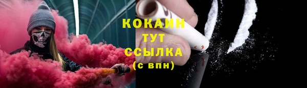 шишки Липки